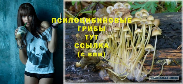 дживик Абинск