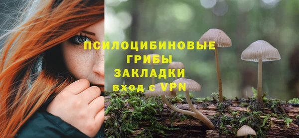 гашик Остров