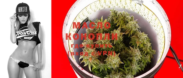 дживик Абинск
