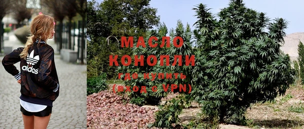 дживик Абинск