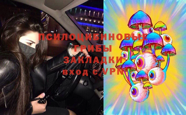дживик Абинск