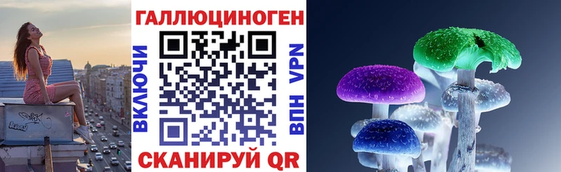 Галлюциногенные грибы Psilocybe  цена наркотик  Россошь 
